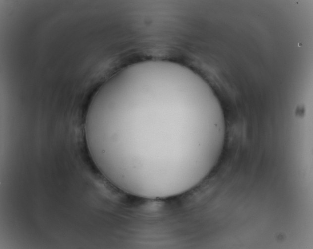X0000102240609200807250839