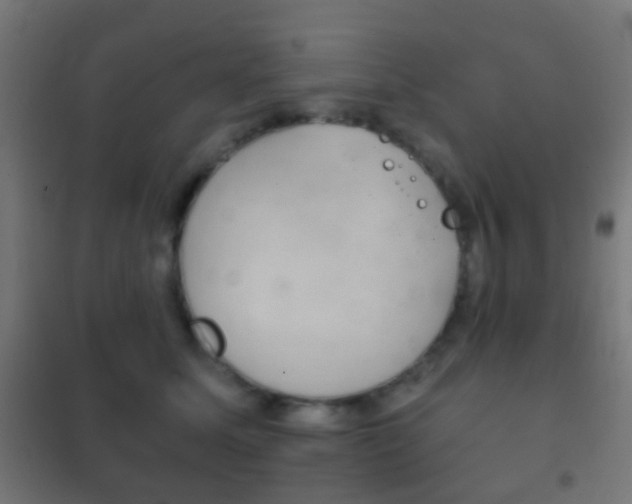 X0000102240611200807250839