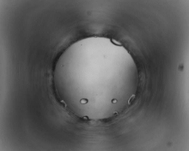 X0000102240612200807250839