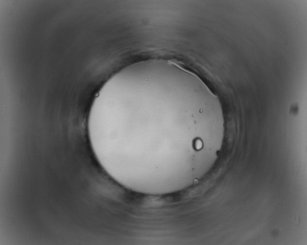 X0000102240613200807250839