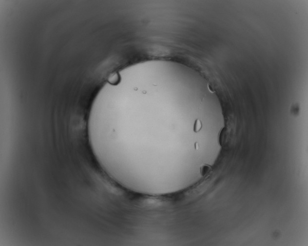 X0000102240614200807250839