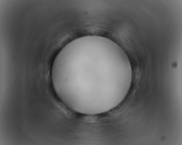 X0000102240615200807250839