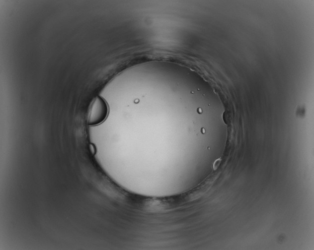 X0000102240616200807250839