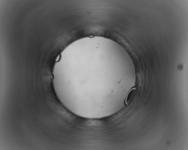 X0000102240617200807250839