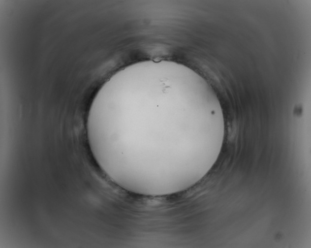 X0000102240618200807250839