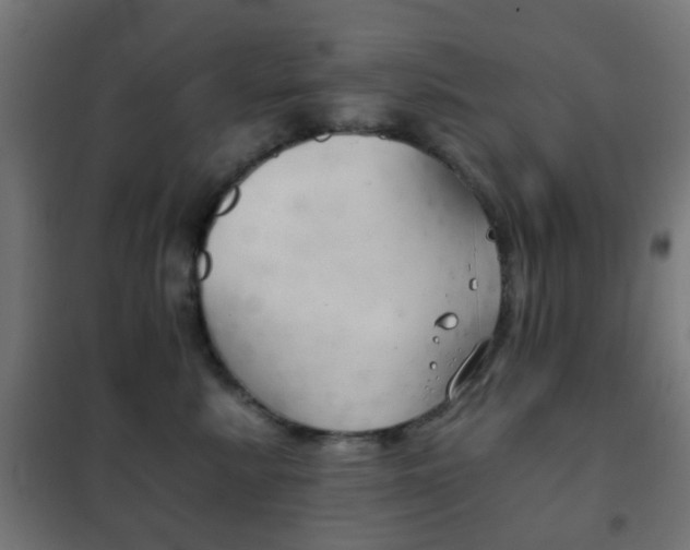 X0000102240619200807250839