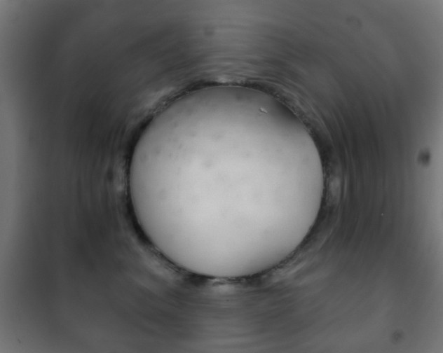 X0000102240620200807250839