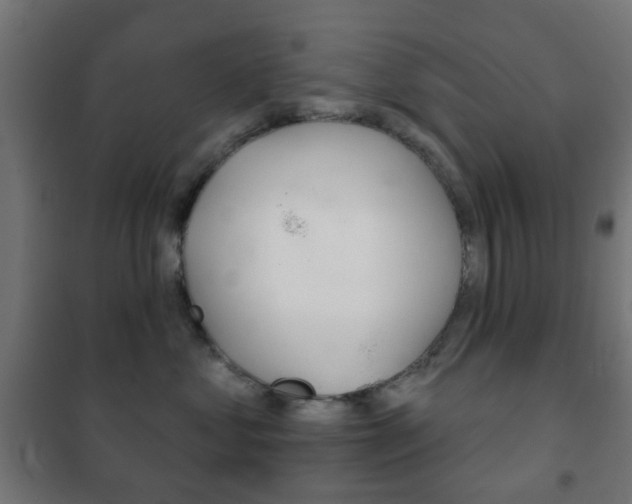 X0000102240621200807250839