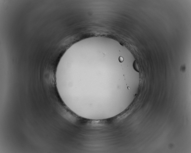 X0000102240622200807250839