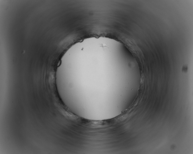 X0000102240623200807250839