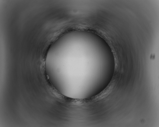 X0000102240624200807250839