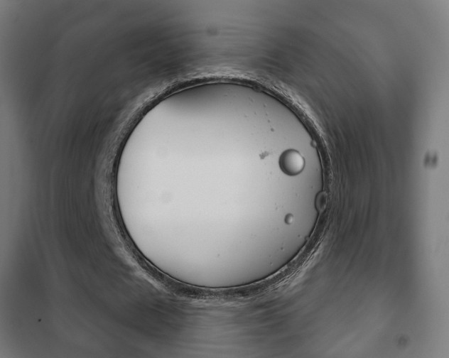 X0000102240625200807250838
