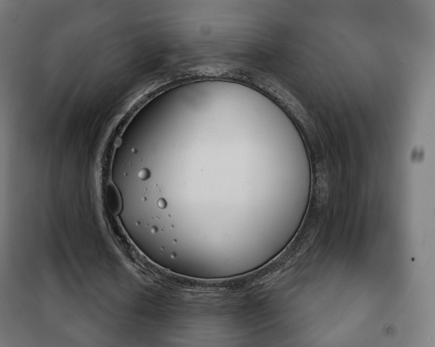 X0000102240626200807250838