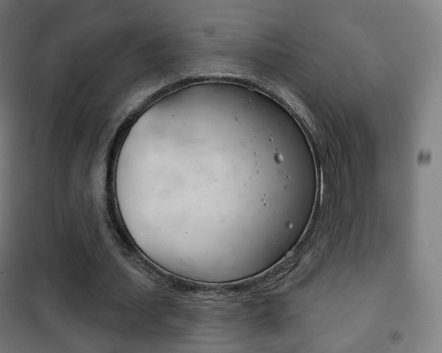 X0000102240627200807250838