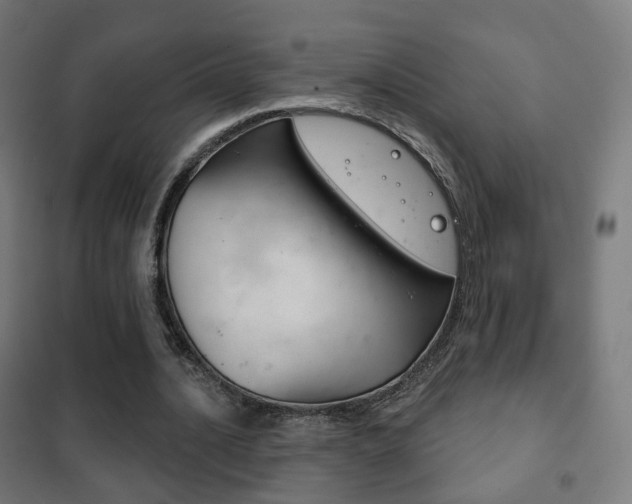 X0000102240628200807250838
