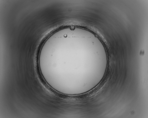 X0000102240629200807250838