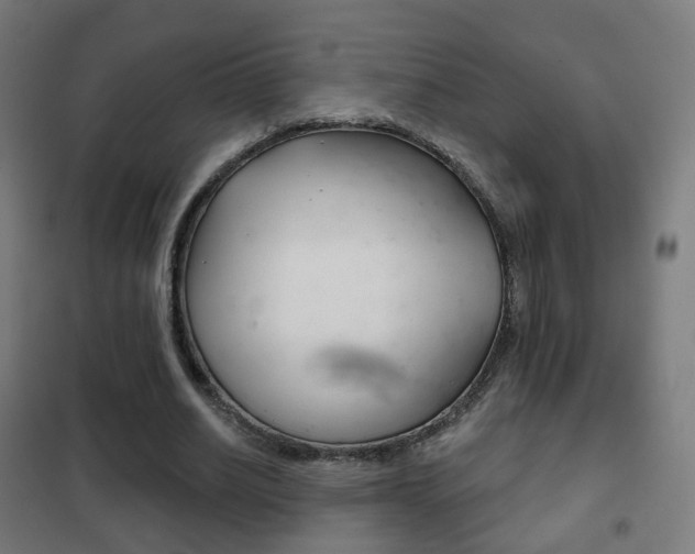 X0000102240630200807250838