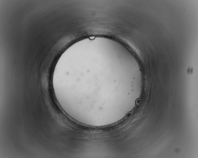 X0000102240631200807250838