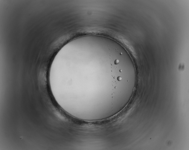 X0000102240633200807250838