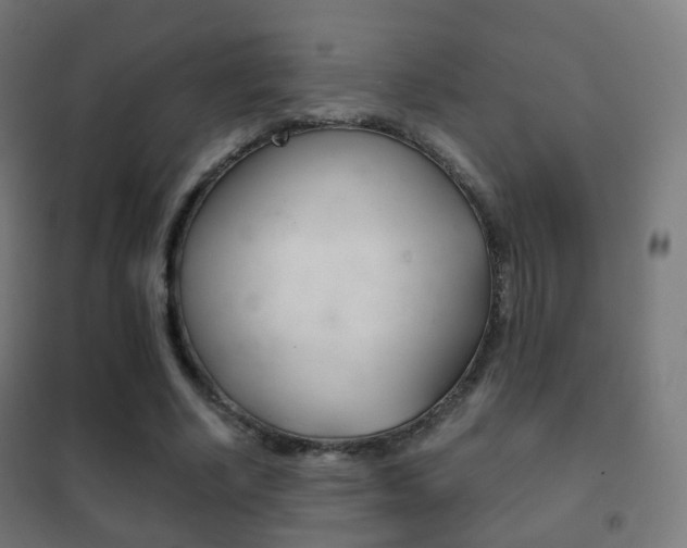 X0000102240634200807250838