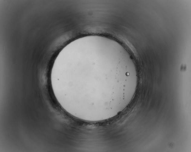 X0000102240635200807250838