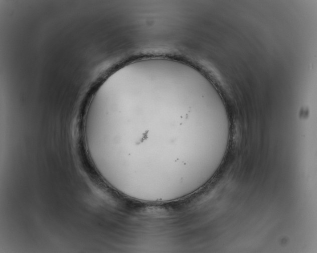 X0000102240636200807250838