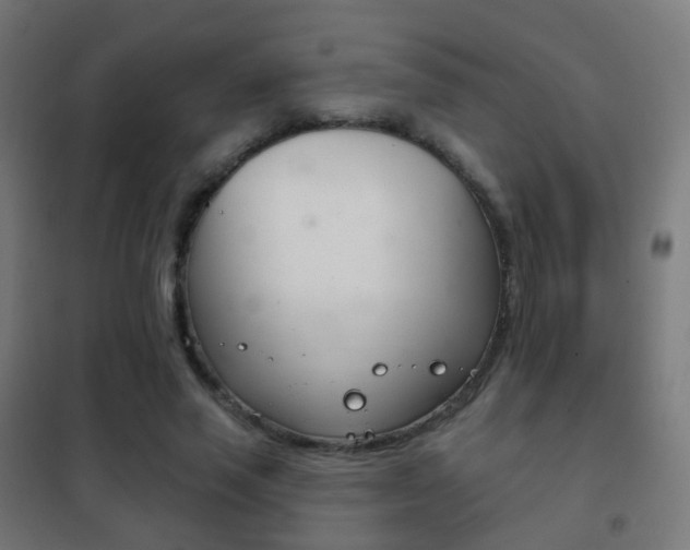 X0000102240637200807250838