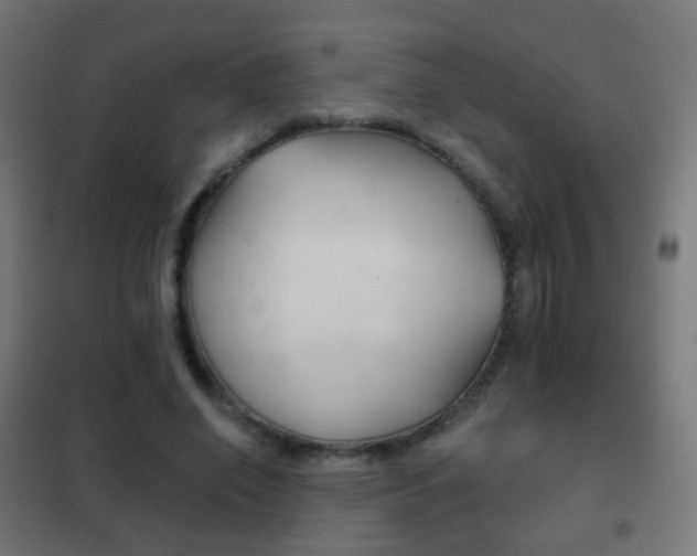 X0000102240638200807250838