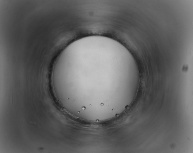 X0000102240639200807250838