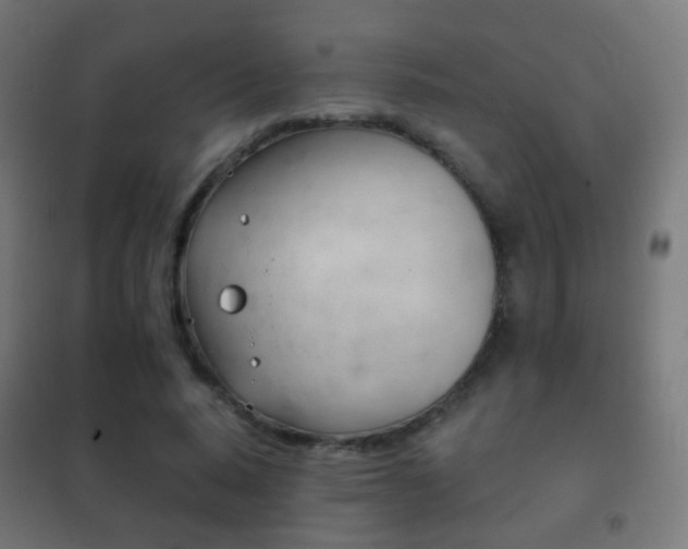 X0000102240640200807250838