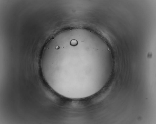 X0000102240641200807250838