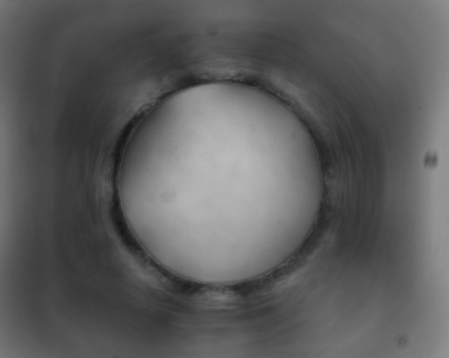 X0000102240642200807250838