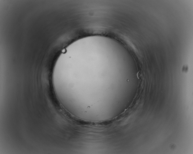 X0000102240643200807250838