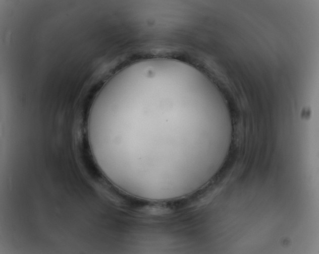 X0000102240644200807250838