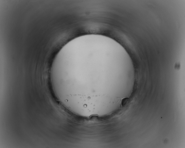 X0000102240645200807250838