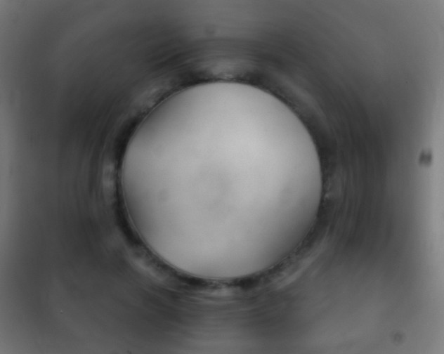 X0000102240646200807250838