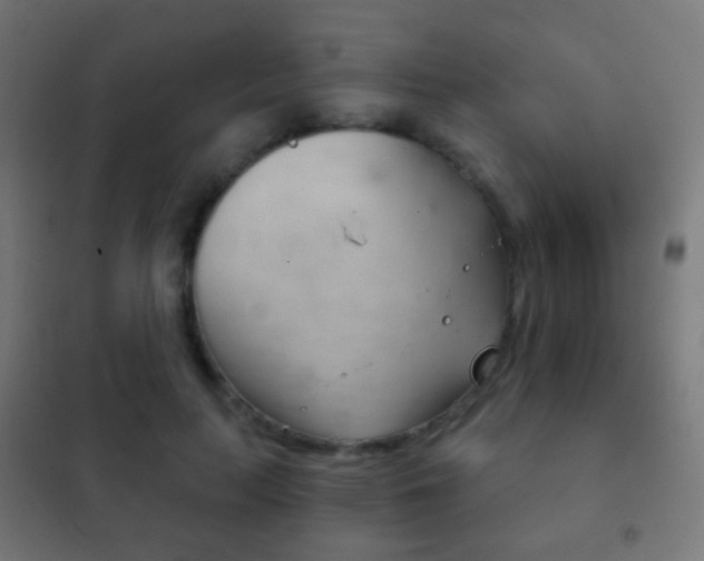X0000102240647200807250838