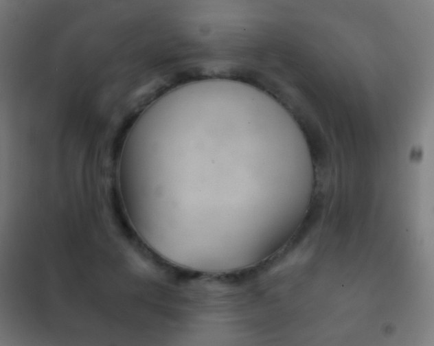 X0000102240648200807250838