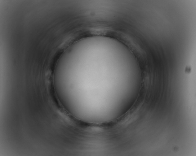 X0000102240649200807250838