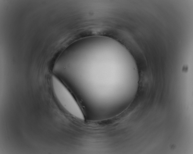 X0000102240650200807250838