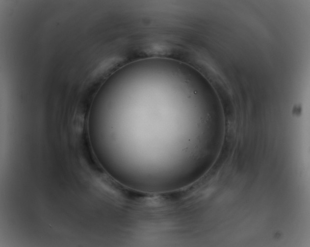 X0000102240652200807250838