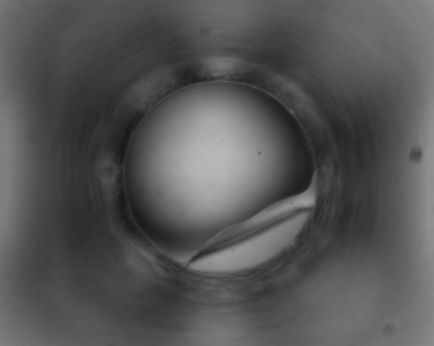 X0000102240653200807250838