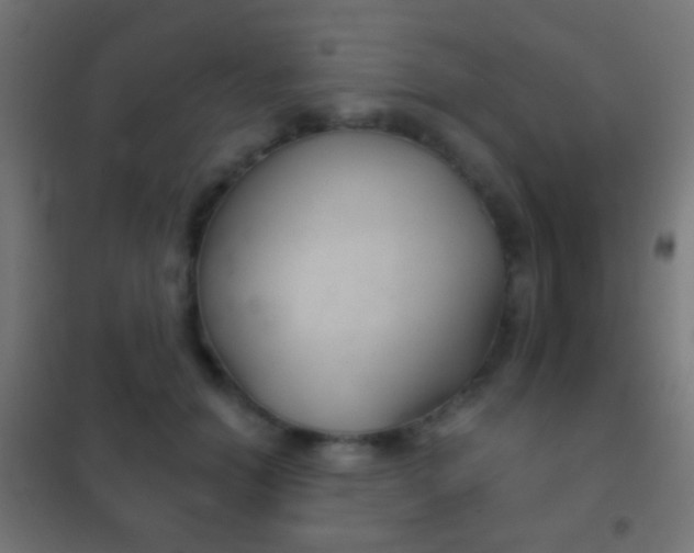 X0000102240654200807250838