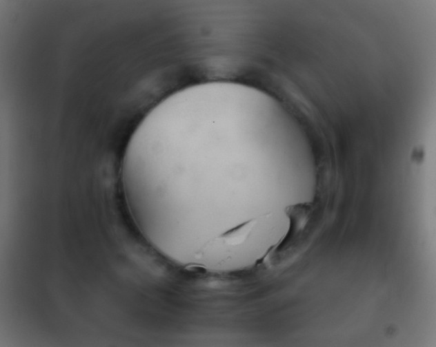 X0000102240655200807250838