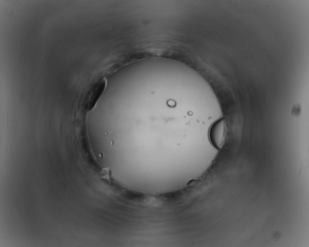 X0000102240656200807250838