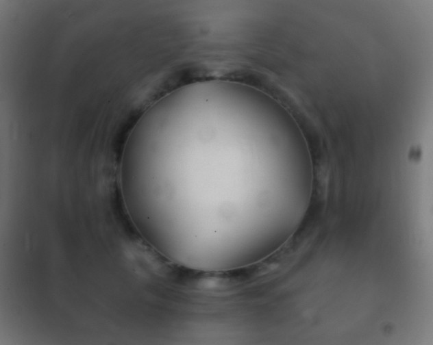 X0000102240657200807250838