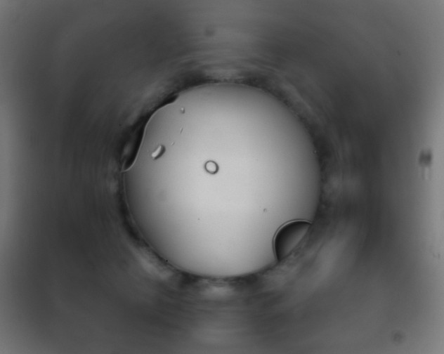 X0000102240658200807250838