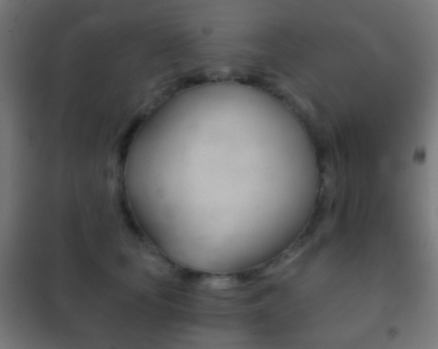 X0000102240659200807250838