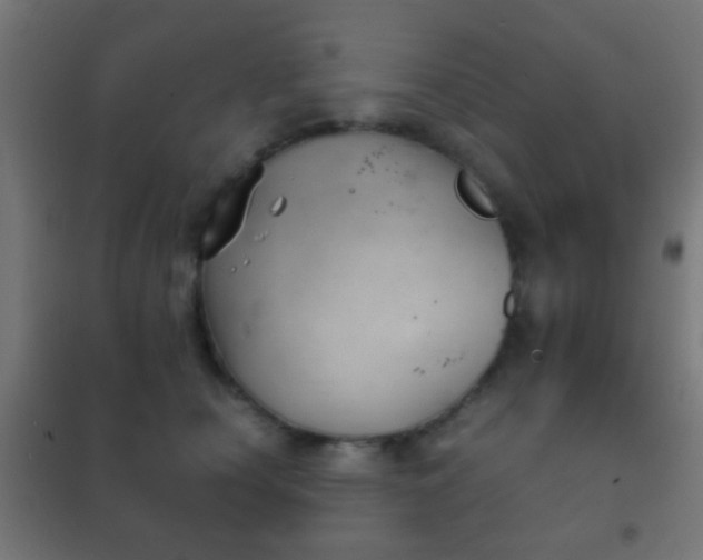 X0000102240660200807250839