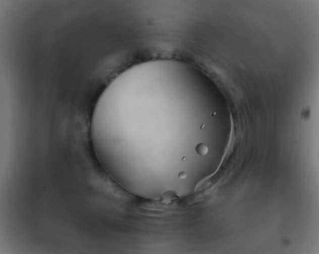 X0000102240661200807250839